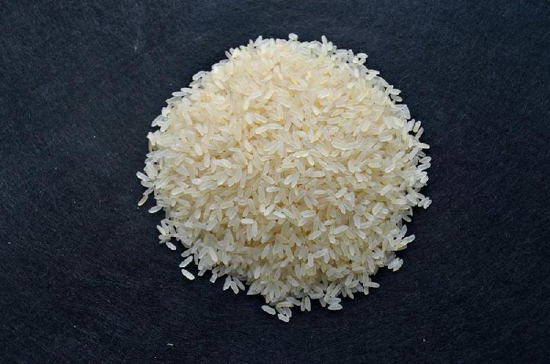 IR-64 Rice